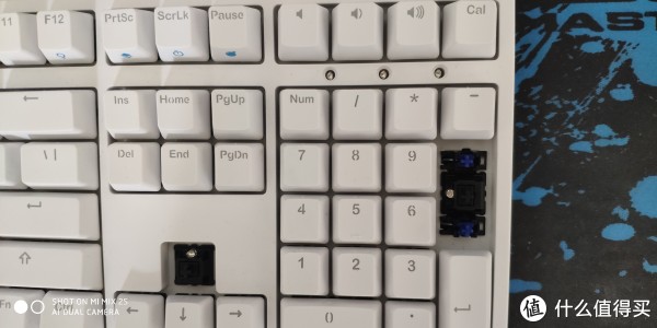 黑轴轴体