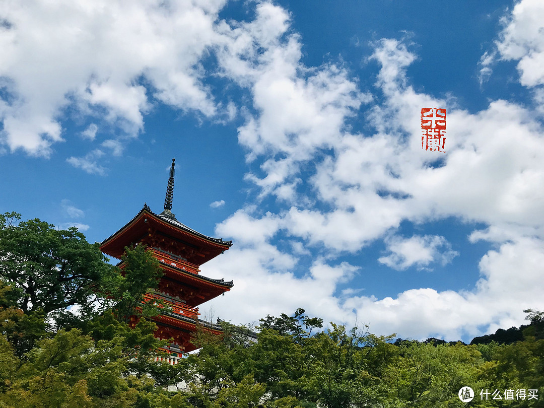 长夏草木深，逢君拾光彩——霓虹关西暑游记