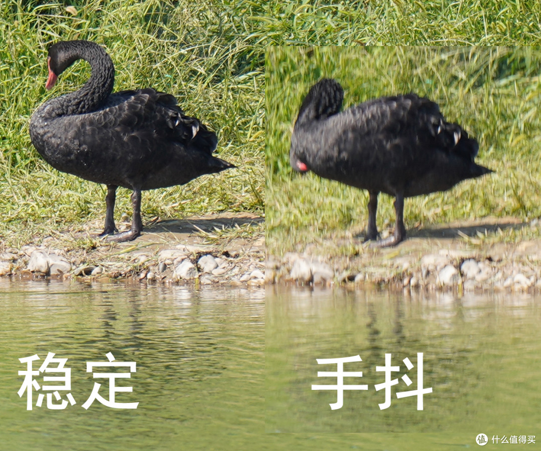 非麒麟臂或上脚架不得触碰----索尼最长焦巨炮200-600mm变焦镜