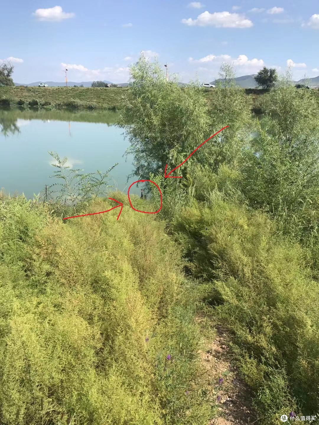 非麒麟臂或上脚架不得触碰----索尼最长焦巨炮200-600mm变焦镜