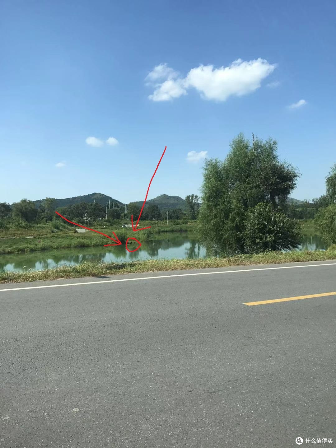 非麒麟臂或上脚架不得触碰----索尼最长焦巨炮200-600mm变焦镜
