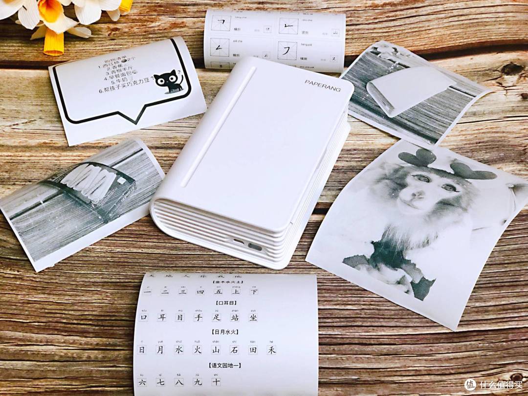 喵喵机MAX 满足全家打印所需