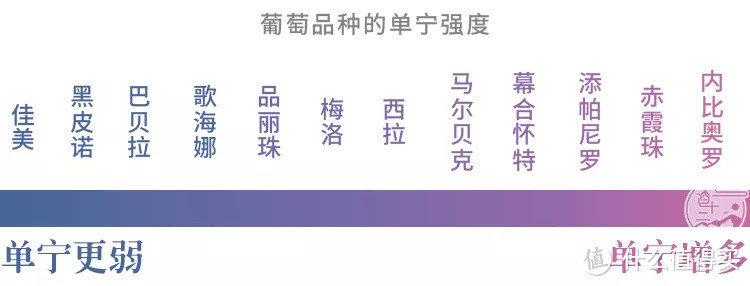 喝过 100 款西拉和赤霞珠后，我来告诉你它们有什么不同