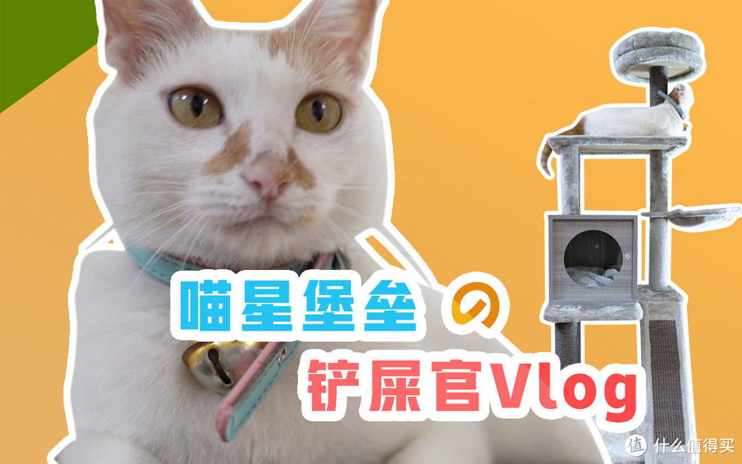 为主子组装一个猫爬架学问还是挺多的——小兽星猫爬架Vlog