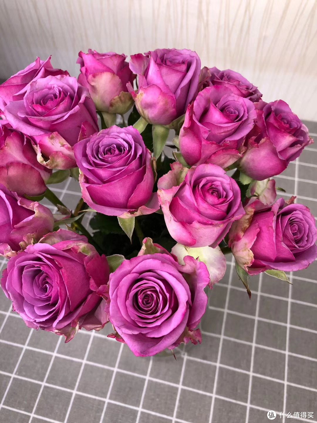 紫色系晒单，收集玫瑰比收集口红色号好玩