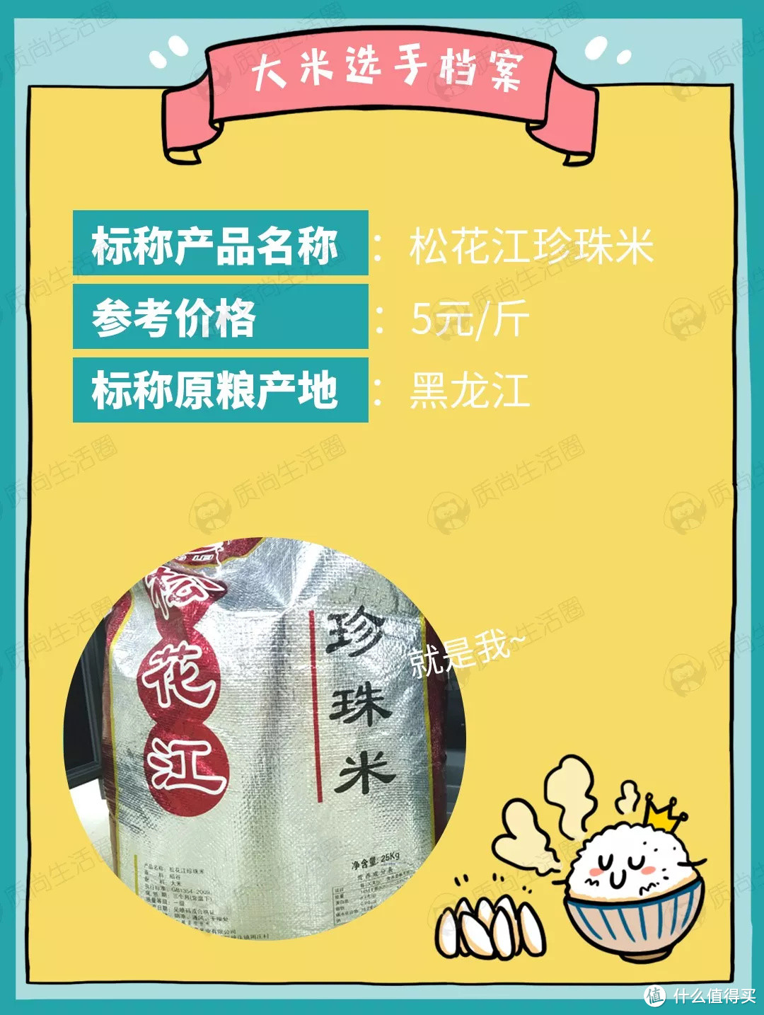 mini电饭煲测评丨几百块的到底比几十块的好在哪?