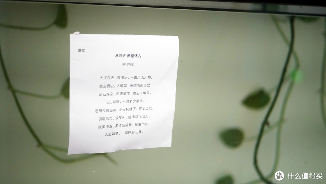 可以提升生活品质的小物件,喵喵机使用体验测评