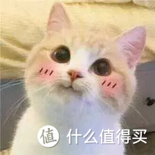 VC + VA产品推荐续集 (油皮篇)|博士颜究院