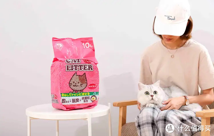 铲完直冲马桶，4款豆腐猫砂让铲屎省心又轻松