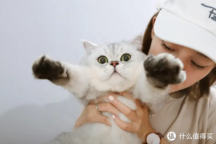 铲完直冲马桶，4款豆腐猫砂让铲屎省心又轻松