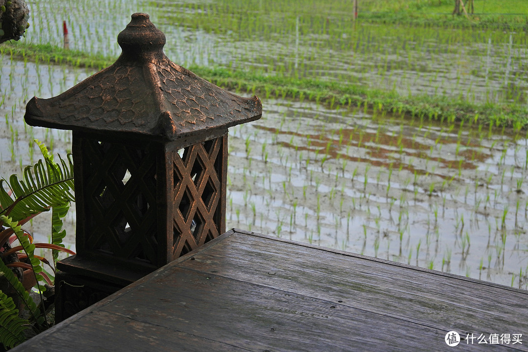 一个人的海角天涯——巴厘岛之乌布Ubud梦境天堂