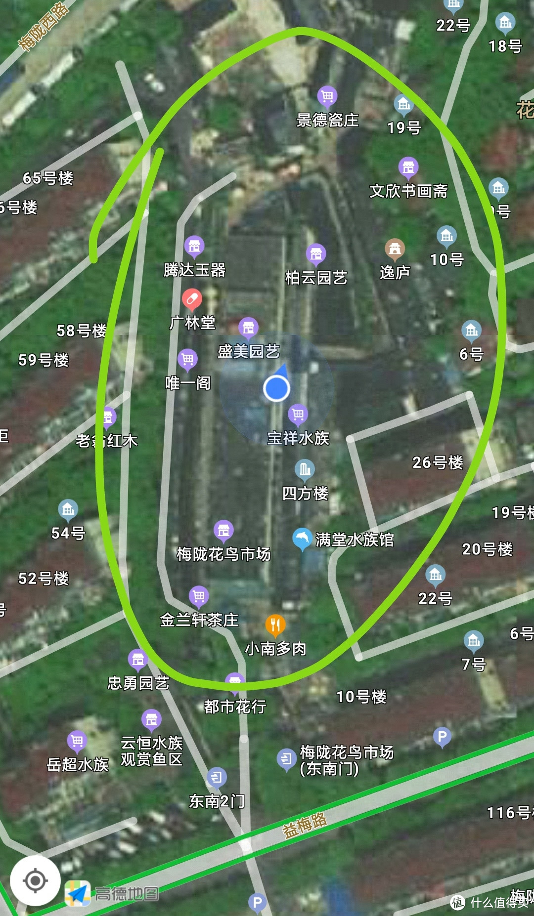 梅陇花鸟市场(就像逛植物园花市和水族馆一样)隐藏在1号线莲花路地铁站边