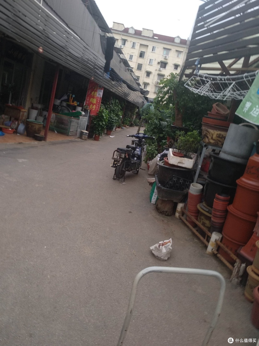 梅陇花鸟市场(就像逛植物园花市和水族馆一样)隐藏在1号线莲花路地铁站边