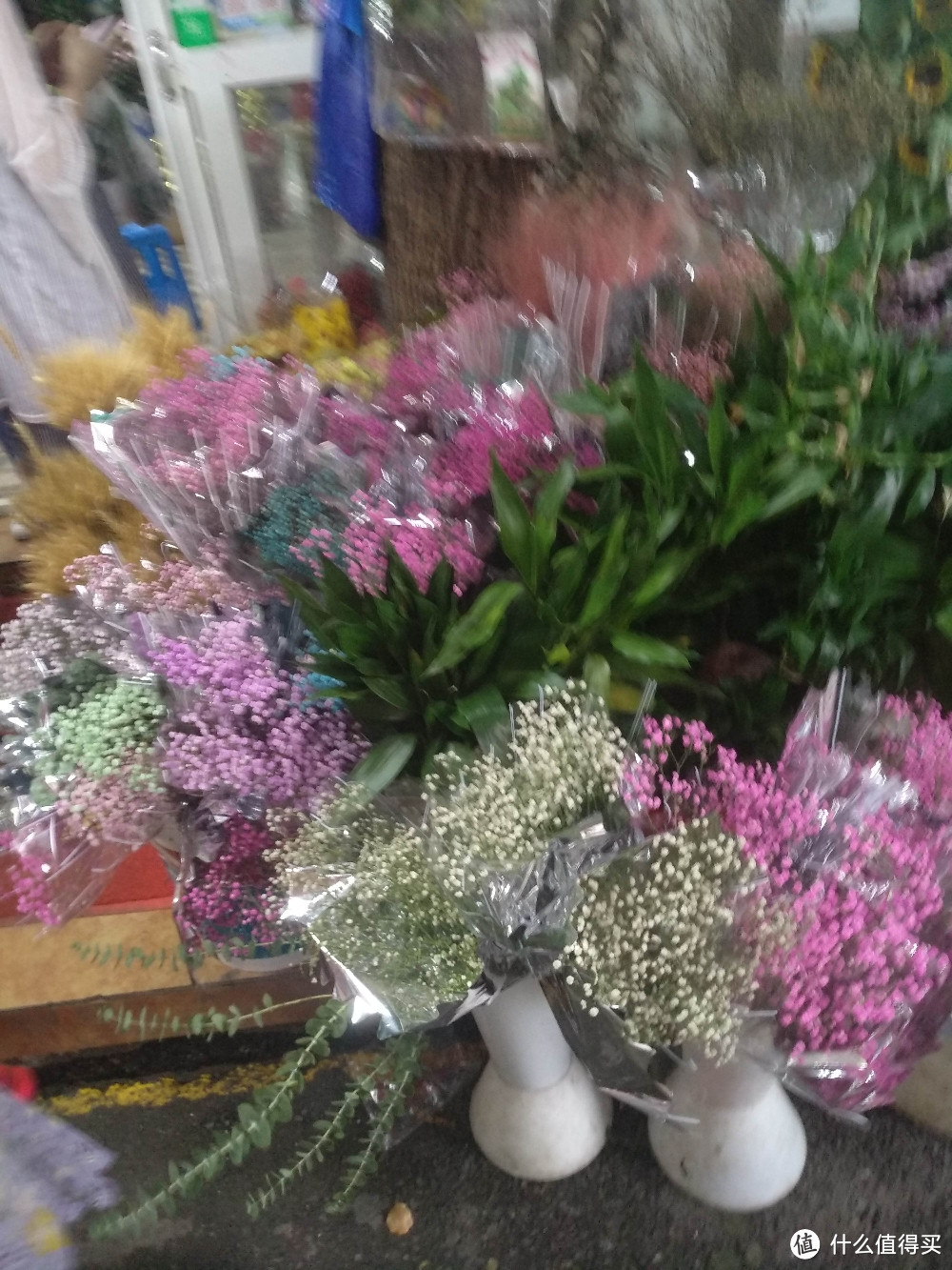 梅陇花鸟市场(就像逛植物园花市和水族馆一样)隐藏在1号线莲花路地铁站边