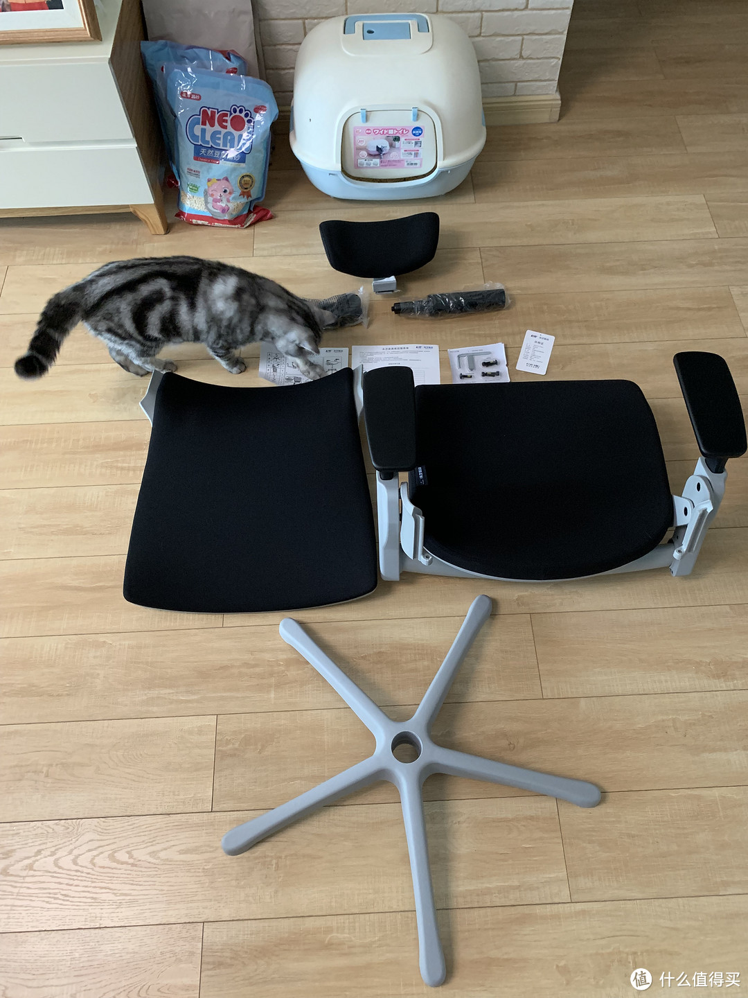 一看这个豆腐猫砂,也是zdm的常客。