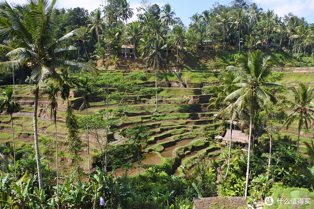 与京打马尼火山共进午餐——沉醉在乌布Ubud周边的风景