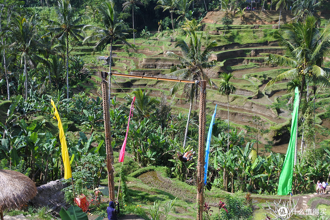 与京打马尼火山共进午餐——沉醉在乌布Ubud周边的风景