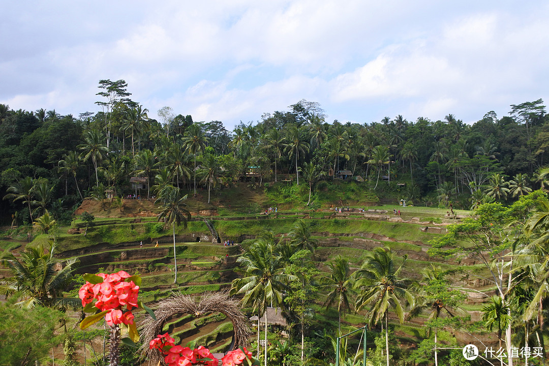 与京打马尼火山共进午餐——沉醉在乌布Ubud周边的风景