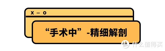 亲手剥了14个五仁月饼后，我开始怀疑人生