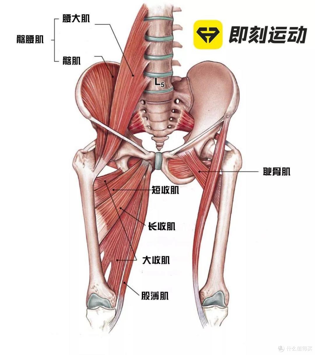体重不过百又怎样,大腿粗让你显胖20斤