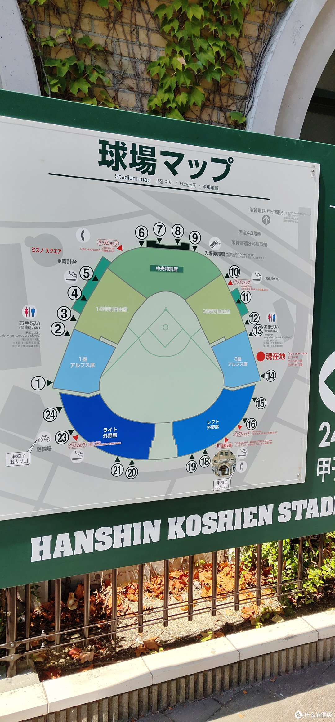 甲子园球场分布