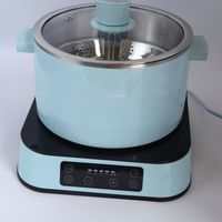 臻米电火锅外观展示(锅口|锅体|锅盖|滤网)