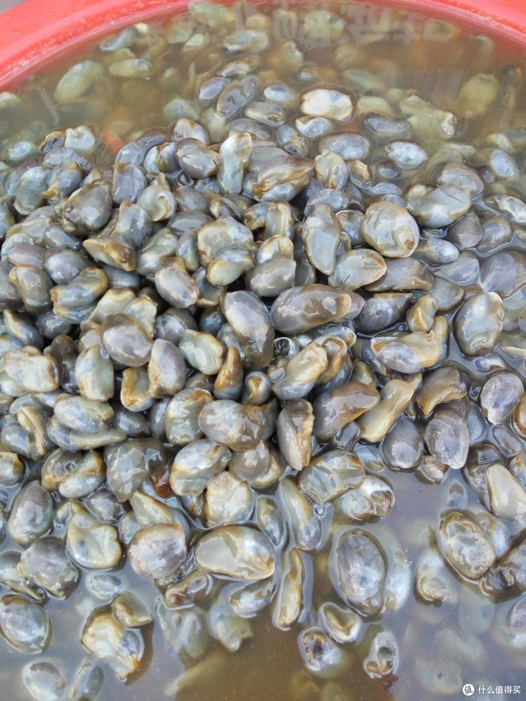 月是故乡明,味是故乡浓