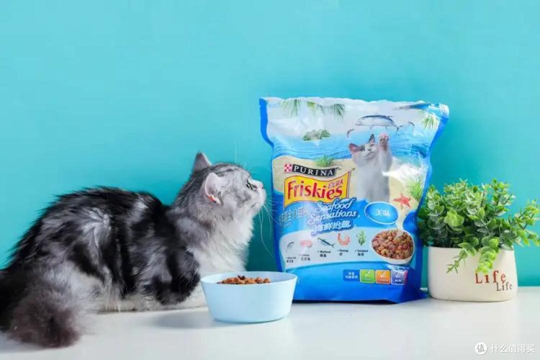 4款成猫粮大测评，主子软萌又健康的秘诀今天就公开