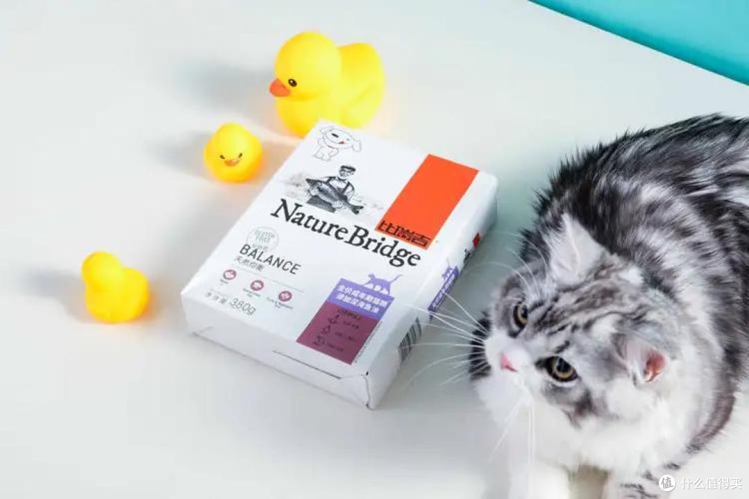 4款成猫粮大测评，主子软萌又健康的秘诀今天就公开