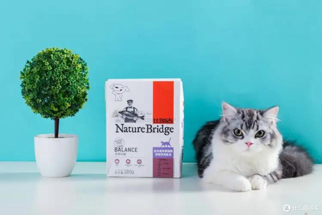 4款成猫粮大测评，主子软萌又健康的秘诀今天就公开