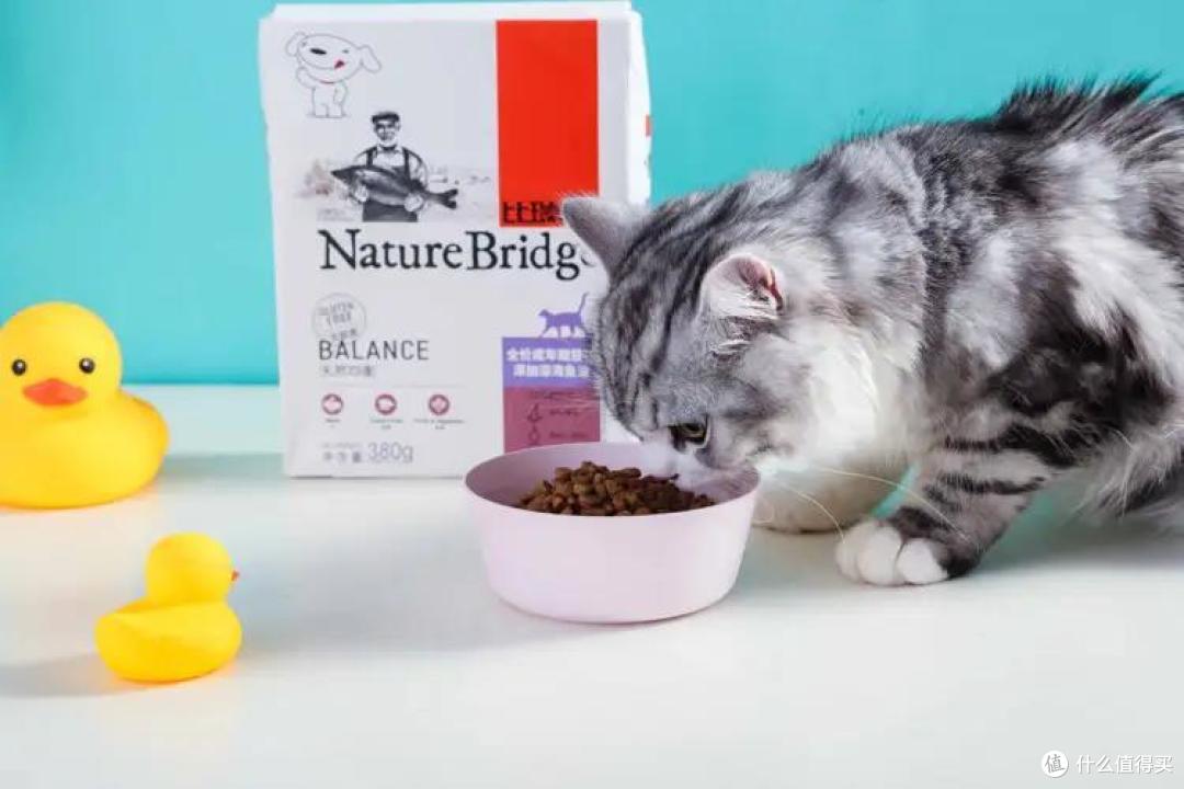 4款成猫粮大测评，主子软萌又健康的秘诀今天就公开