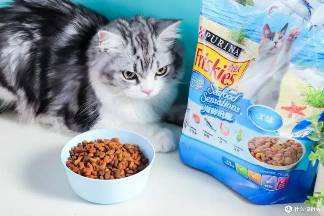 4款成猫粮大测评，主子软萌又健康的秘诀今天就公开