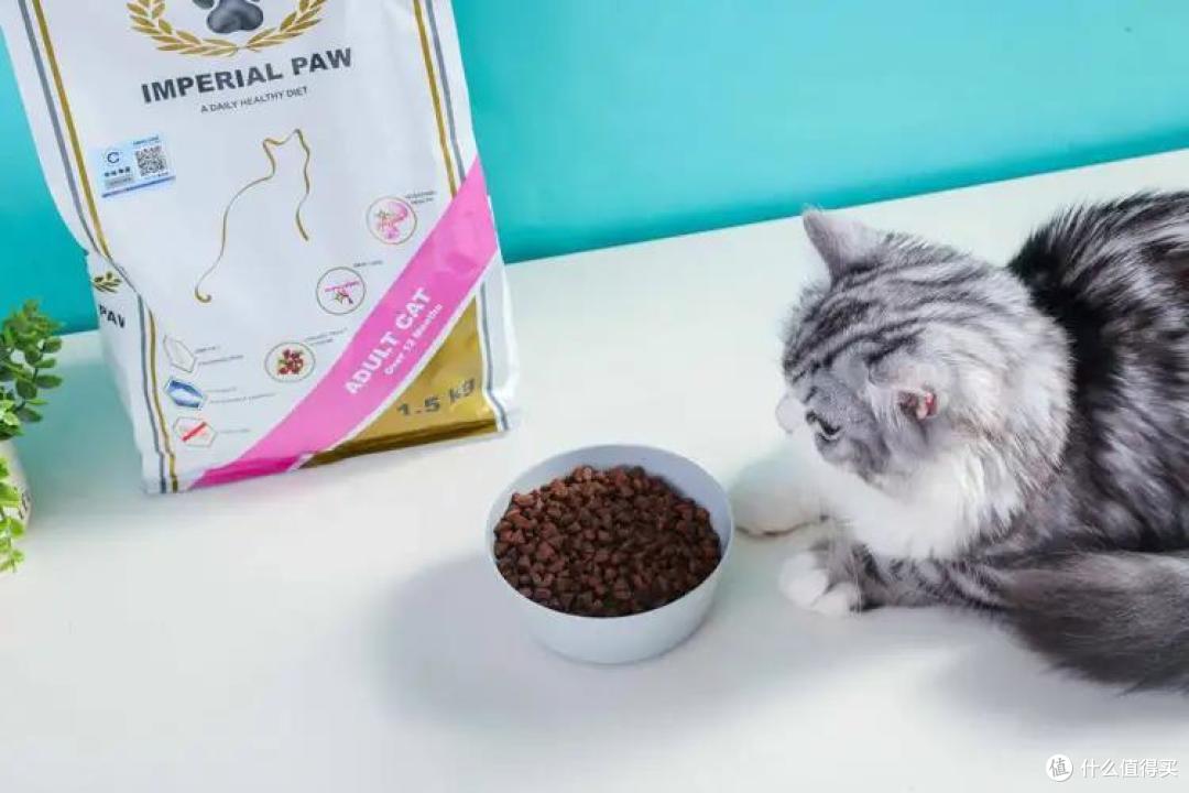 4款成猫粮大测评，主子软萌又健康的秘诀今天就公开