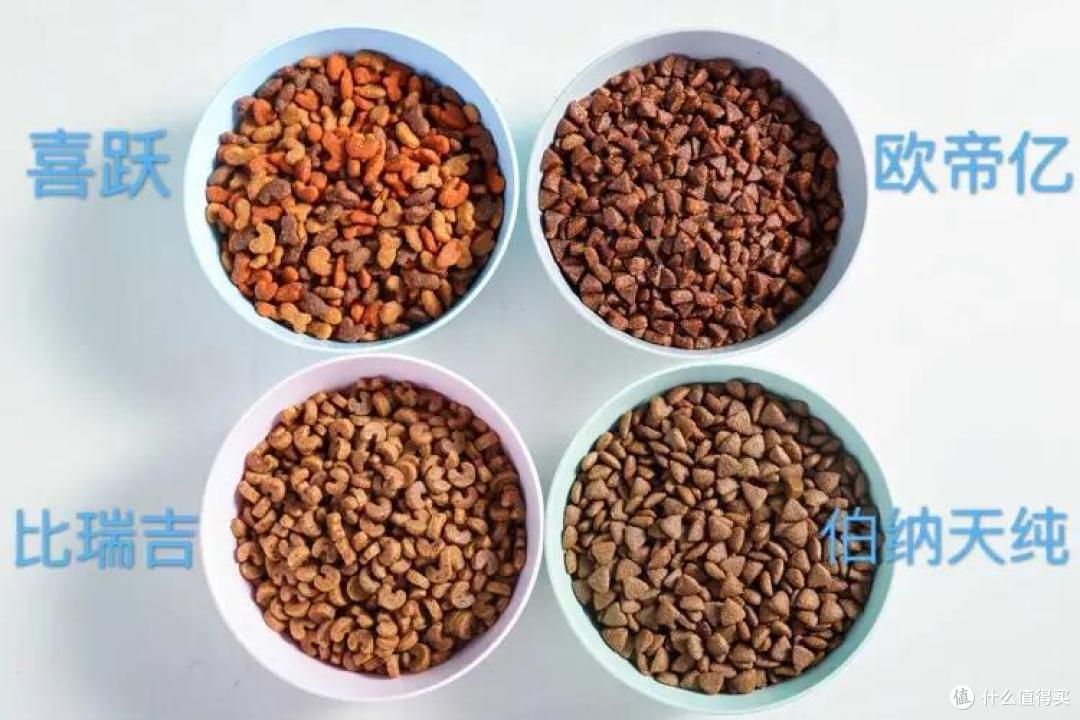 4款成猫粮大测评，主子软萌又健康的秘诀今天就公开
