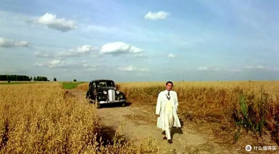 “上帝也想看电影”的1994年，到底有哪些影片佳作值得看？八千字百图给你答案