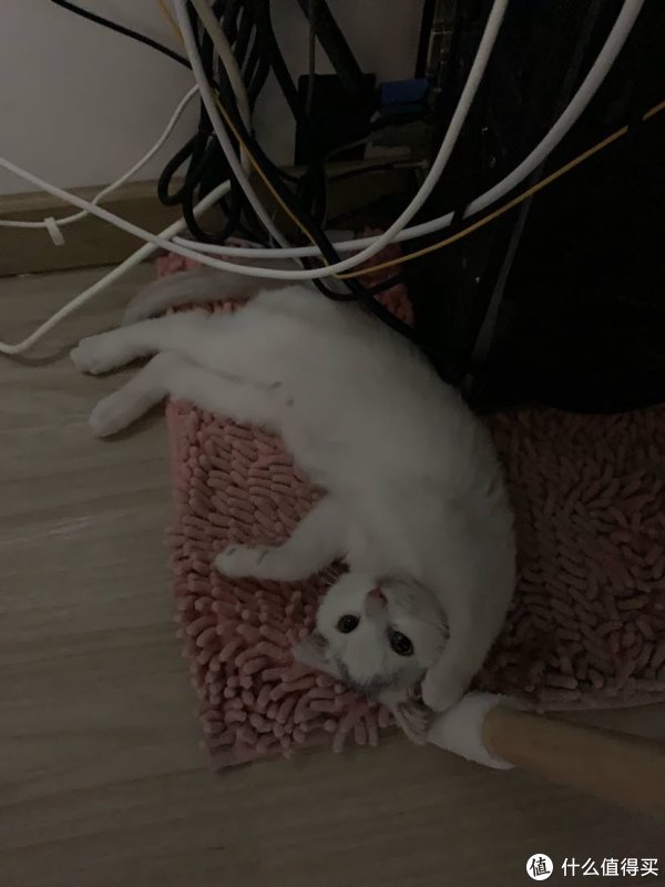 瞅你咋滴！——小锅盖儿