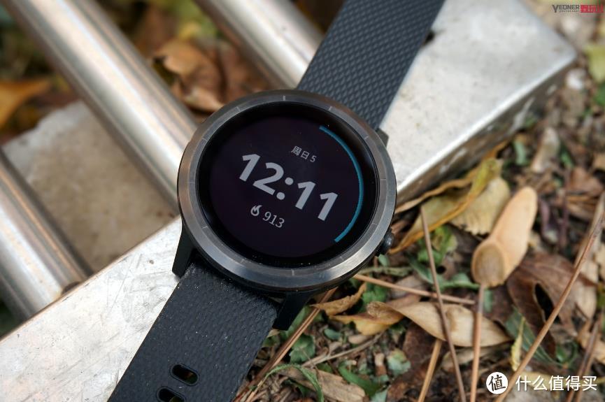 vivoactive3 标准版