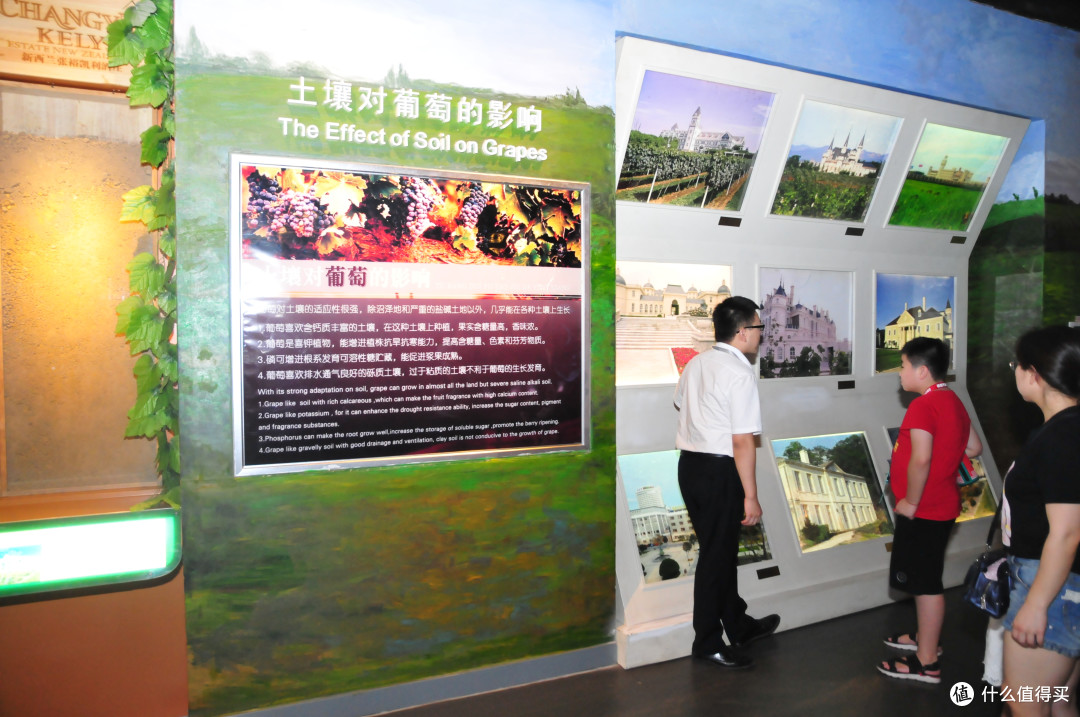 西安周边玩什么之张裕瑞纳城堡酒庄游记