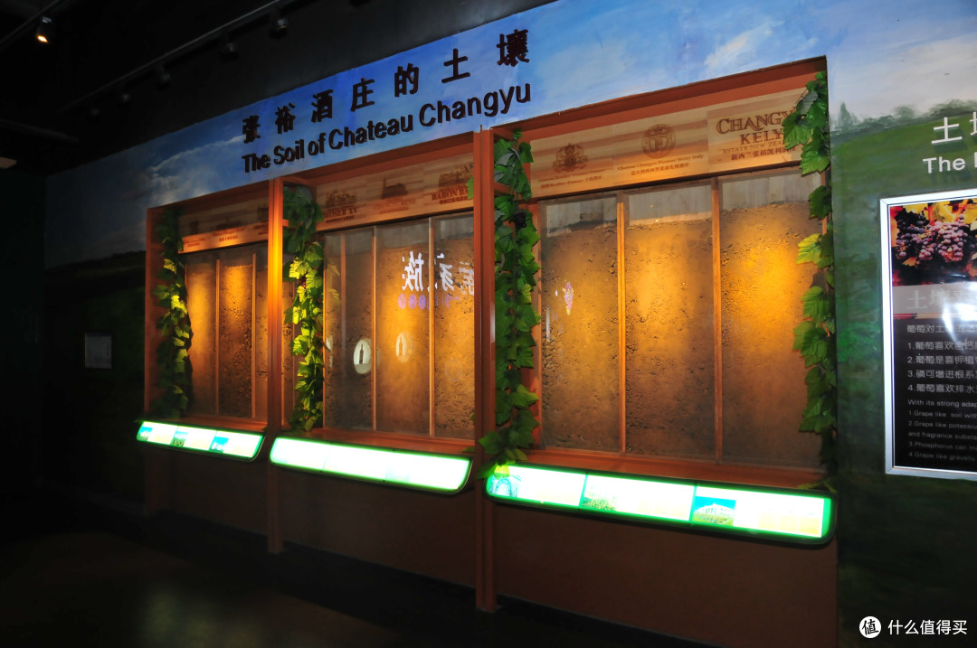 西安周边玩什么之张裕瑞纳城堡酒庄游记