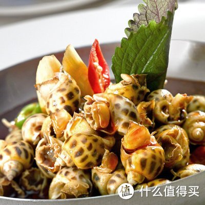 吃海的季节,餐桌上怎么少得了海鲜:老百姓常吃海鲜一网打尽(上集)