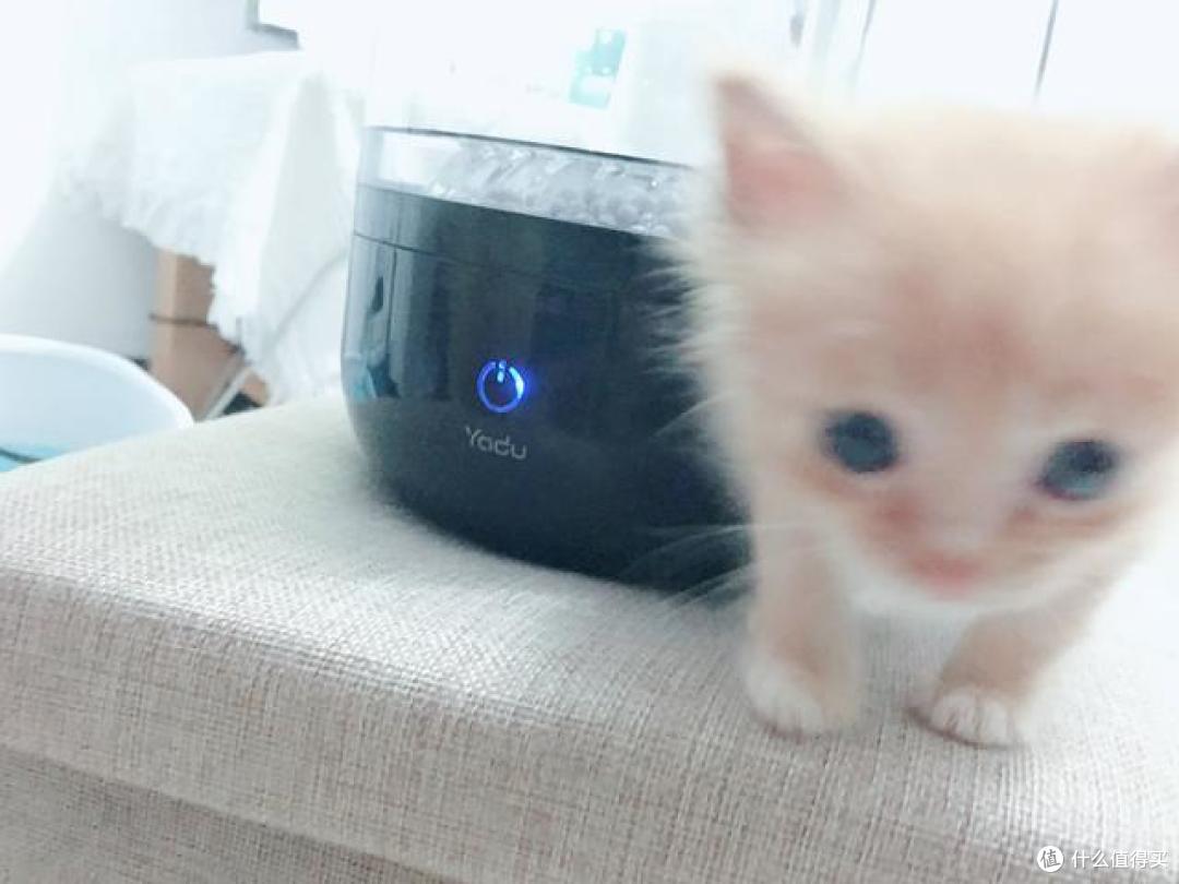 亚都超声波加湿器深度体验,助你告别干燥空气!