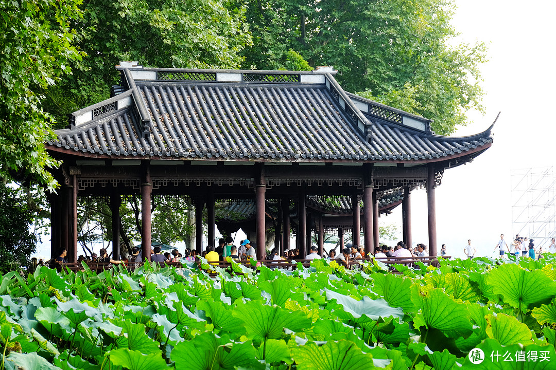 赏西湖美景：杭州断桥半日游记