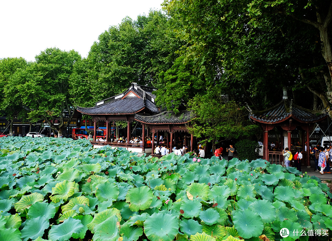 赏西湖美景：杭州断桥半日游记