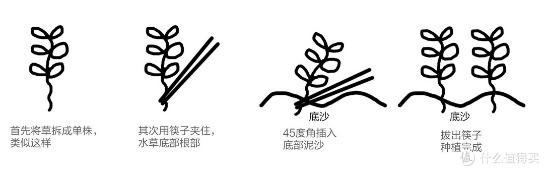 《大王叫我来巡山》简单聊聊开缸、设备、与维护