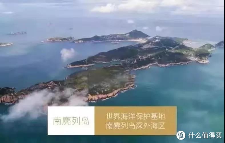 富含DHA深海鱼测评：这条中国“黄鳕鱼”完美胜出！