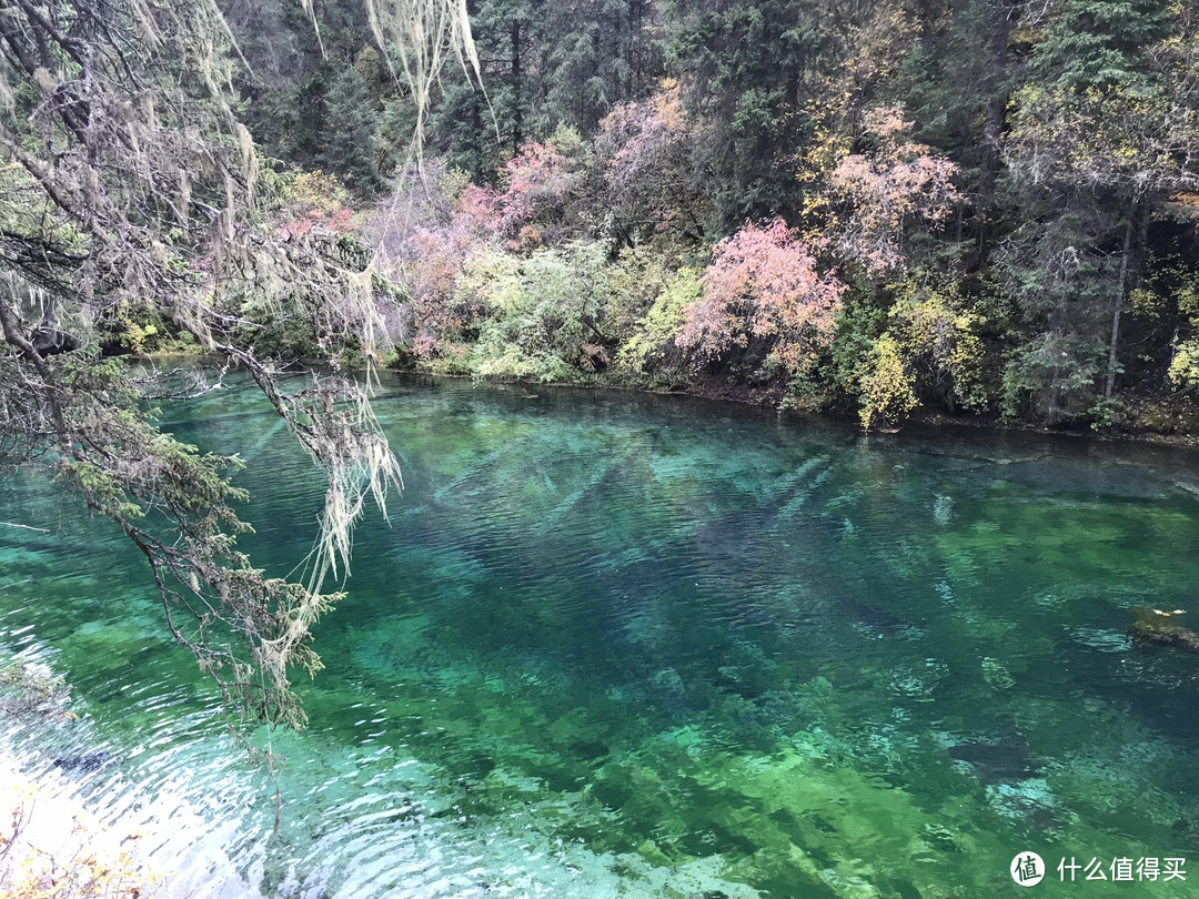 碧绿湖水和湖边鲜花