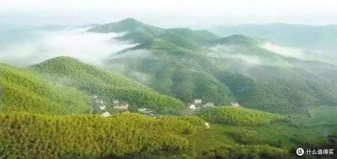 莫干山国际品牌首秀,雅高旗下重磅新分号!全落地窗房俯瞰半座城!
