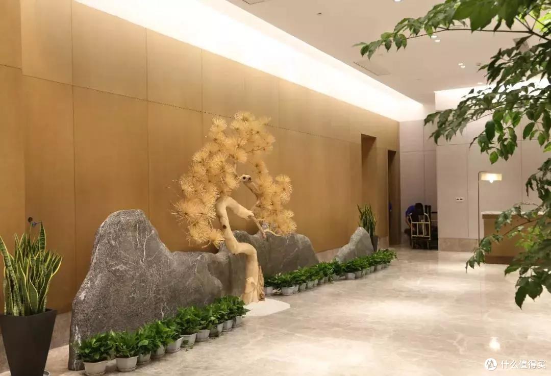 莫干山国际品牌首秀,雅高旗下重磅新分号!全落地窗房俯瞰半座城!