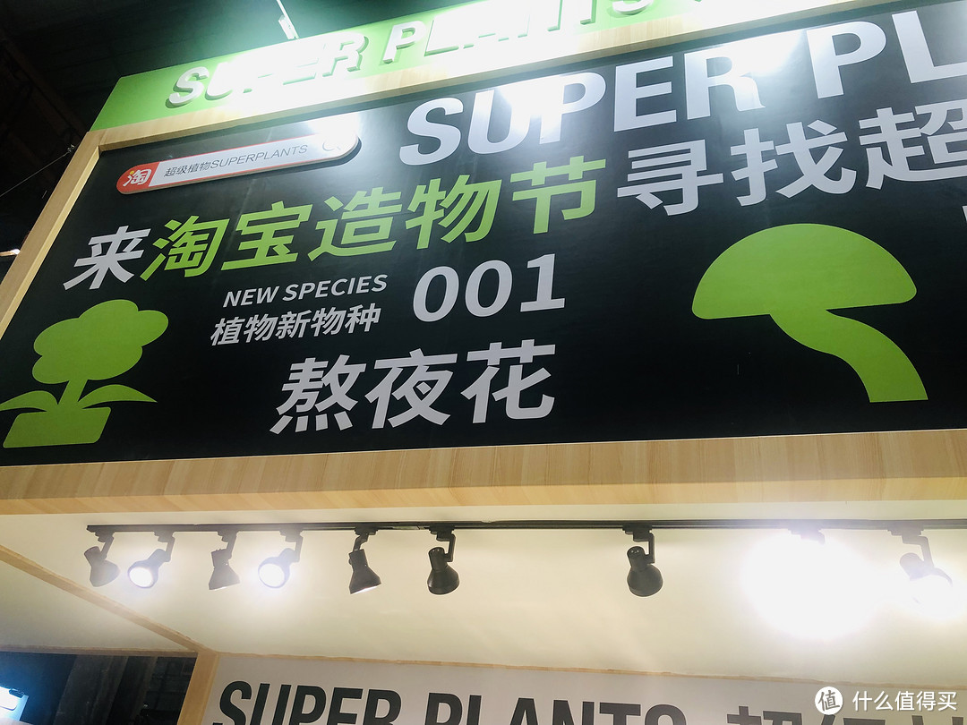 能吃能逛还能玩！带你解锁最详尽的“2019淘宝造物节”游玩攻略