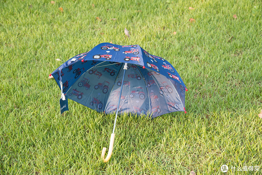 小巧可爱的儿童雨伞——Hatley A13-UM0DINO100 雨伞遮阳伞评测